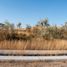  Land for sale in Zapopan, Jalisco, Zapopan, Jalisco