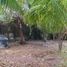  Grundstück zu verkaufen in Othon P Blanco, Quintana Roo, Othon P Blanco