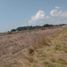  Land for sale in Nopalucan, Puebla, Nopalucan