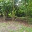  Land for sale in Othon P Blanco, Quintana Roo, Othon P Blanco, Quintana Roo