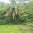  Land for sale in Othon P Blanco, Quintana Roo, Othon P Blanco, Quintana Roo