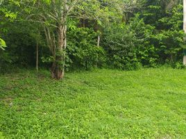  Land for sale in Othon P Blanco, Quintana Roo, Othon P Blanco, Quintana Roo