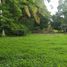  Land for sale in Othon P Blanco, Quintana Roo, Othon P Blanco, Quintana Roo