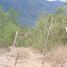  Land for sale in Juarez, Nuevo Leon, Juarez