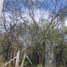  Land for sale in Juarez, Nuevo Leon, Juarez