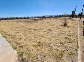 Terrain à vendre à Villa De Reyes, San Luis Potosi, Villa De Reyes
