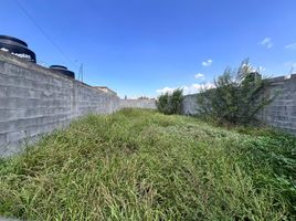  Grundstück zu verkaufen in Arteaga, Coahuila, Arteaga