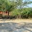  Land for sale in Tempoal, Veracruz, Tempoal