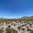  Land for sale in La Cruz, Chihuahua, La Cruz