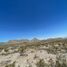  Land for sale in La Cruz, Chihuahua, La Cruz