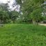  Land for sale in Panuco, Veracruz, Panuco