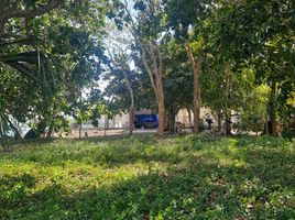  Grundstück zu verkaufen in Othon P Blanco, Quintana Roo, Othon P Blanco
