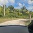  Grundstück zu verkaufen in Othon P Blanco, Quintana Roo, Othon P Blanco