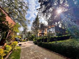 6 Bedroom House for sale in Magdalena Contreras, Mexico City, Magdalena Contreras