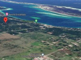 Terrain à vendre à Othon P Blanco, Quintana Roo, Othon P Blanco