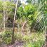 Terrain à vendre à Othon P Blanco, Quintana Roo, Othon P Blanco