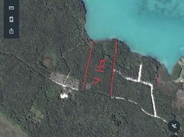  Grundstück zu verkaufen in Othon P Blanco, Quintana Roo, Othon P Blanco