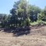  Land for sale in Dist Pochutla, Oaxaca, Dist Pochutla, Oaxaca