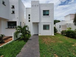  Terreno (Parcela) en venta en Othon P Blanco, Quintana Roo, Othon P Blanco