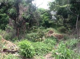  Grundstück zu verkaufen in Cuernavaca, Morelos, Cuernavaca, Morelos