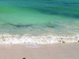  Grundstück zu verkaufen in Othon P Blanco, Quintana Roo, Othon P Blanco
