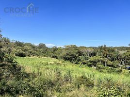 在Coatepec, Veracruz出售的 土地, Coatepec