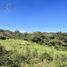  Land for sale in Coatepec, Veracruz, Coatepec