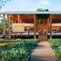  Terreno (Parcela) en venta en Othon P Blanco, Quintana Roo, Othon P Blanco