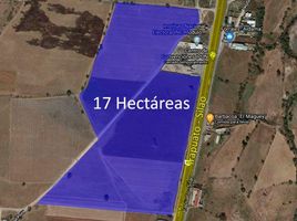  Grundstück zu verkaufen in Irapuato, Guanajuato, Irapuato