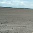  Land for sale in Gonzalez Tamaulipas, Gonzalez