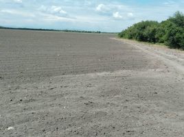 在Gonzalez, Tamaulipas出售的 土地, Gonzalez