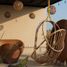 1 Schlafzimmer Appartement zu verkaufen in Cozumel, Quintana Roo, Cozumel, Quintana Roo