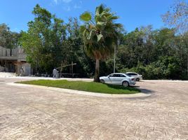  Grundstück zu verkaufen in Cozumel, Quintana Roo, Cozumel