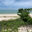  Land for sale in Celestun, Yucatan, Celestun