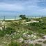  Land for sale in Celestun, Yucatan, Celestun