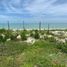  Land for sale in Celestun, Yucatan, Celestun