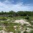  Land for sale in Celestun, Yucatan, Celestun