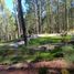  Land for sale in Tetlatlahuca, Tlaxcala, Tetlatlahuca