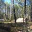  Land for sale in Tetlatlahuca, Tlaxcala, Tetlatlahuca