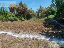  Land for sale in Amacuzac, Morelos, Amacuzac
