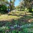  Land for sale in Amacuzac, Morelos, Amacuzac