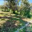  Land for sale in Amacuzac, Morelos, Amacuzac