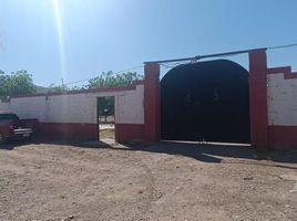 Studio Haus zu verkaufen in Chihuahua, Chihuahua, Chihuahua, Chihuahua