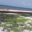 Terrain à vendre à Othon P Blanco, Quintana Roo, Othon P Blanco