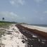 Terrain à vendre à Othon P Blanco, Quintana Roo, Othon P Blanco