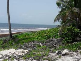 Terrain à vendre à Othon P Blanco, Quintana Roo, Othon P Blanco