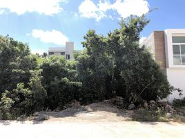  Land for sale in Cancun, Quintana Roo, Cancun