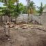  Grundstück zu verkaufen in Lazaro Cardenas, Quintana Roo, Lazaro Cardenas