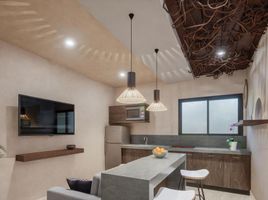 1 Habitación Apartamento en venta en Quintana Roo, Cozumel, Quintana Roo