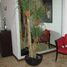 Maison 3 chambre à vendre à Allende, Guanajuato, Allende